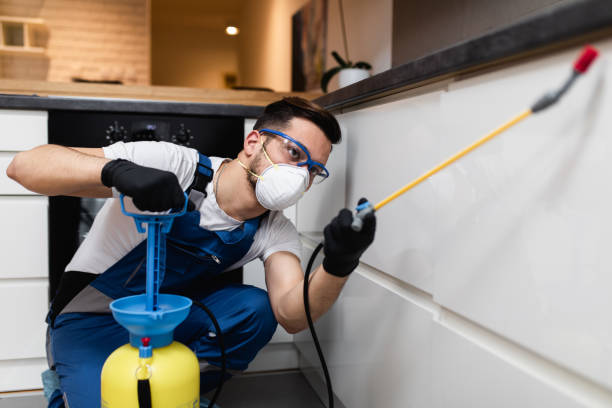 Best Mosquito Control Services  in Pflugerville, TX
