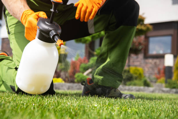 Reliable Pflugerville, TX Pest Control Solutions