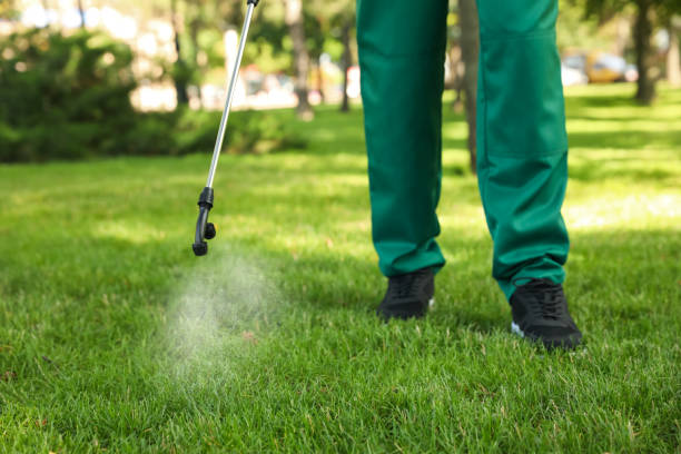 Reliable Pflugerville, TX Pest Control Solutions