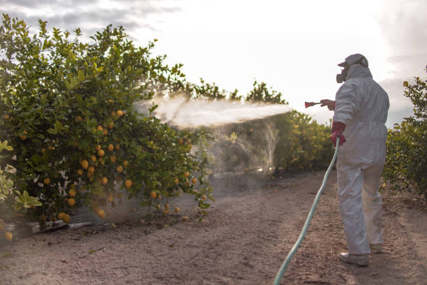 Pest Control Cost in Pflugerville, TX