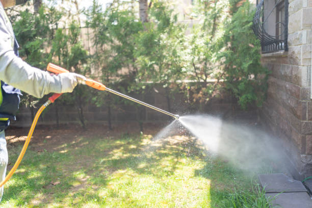 Best Termite Control Services  in Pflugerville, TX