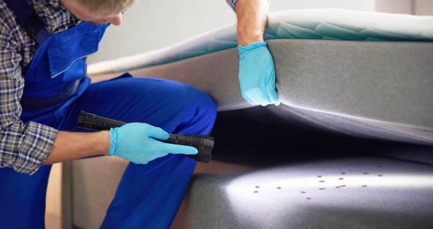 Best Pest Removal Services  in Pflugerville, TX