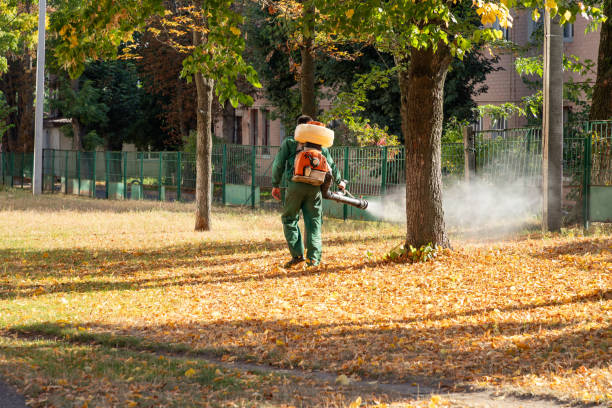 Best Exterminator Services  in Pflugerville, TX