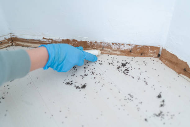 Best Wildlife Control Services  in Pflugerville, TX